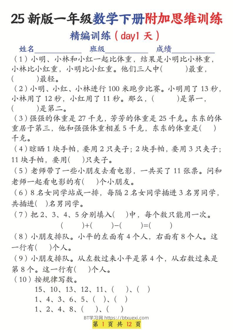 25新一下数学附加思维训练（精编训练12天）含答案24页-BT学习网