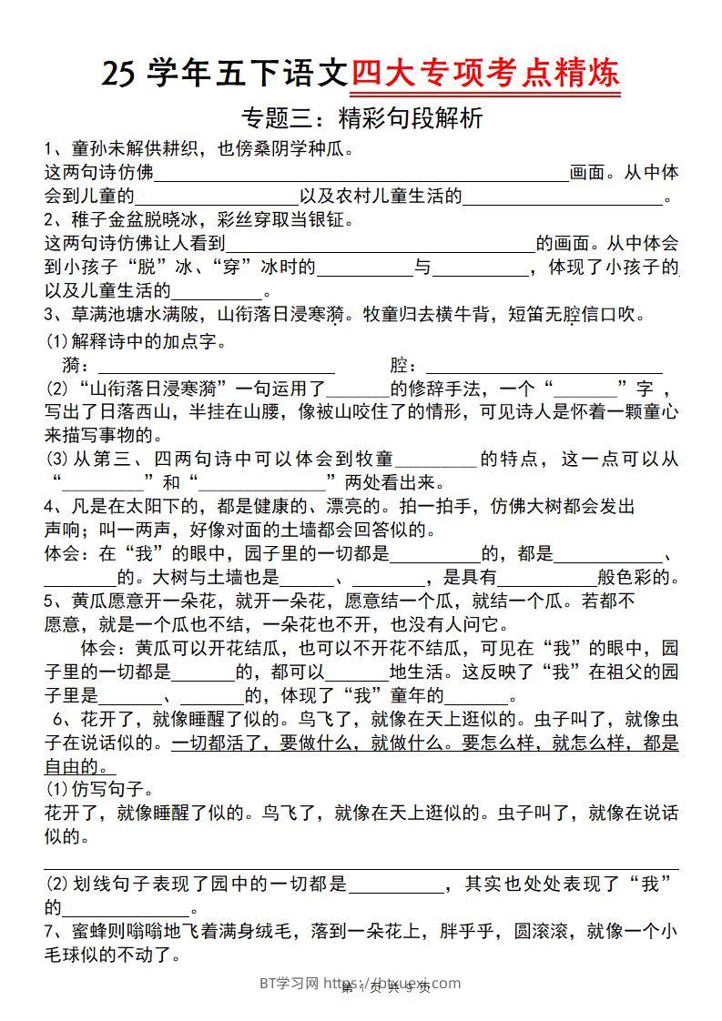 25学年五下语文四大专项考点精炼（专题三：精彩句段解析）-BT学习网