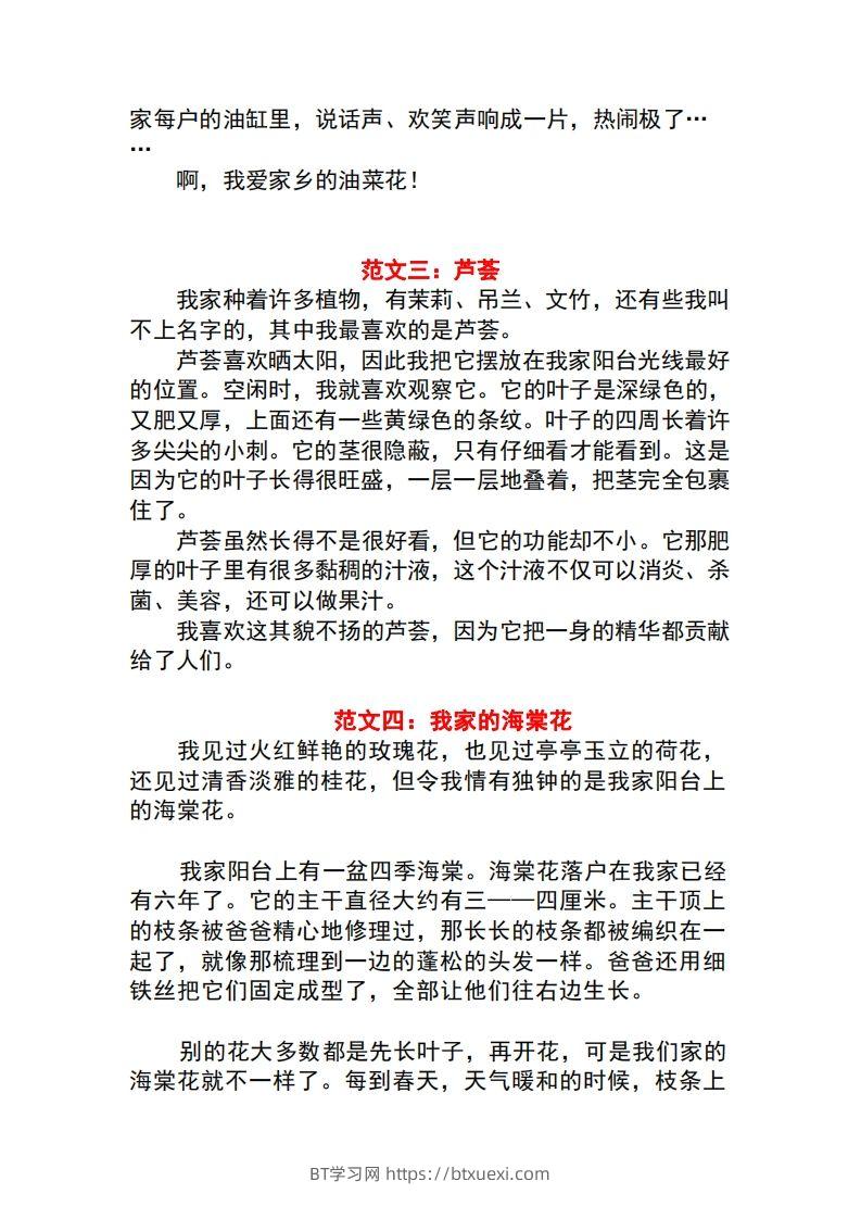 图片[2]-三年级语文下册1-8单元作文范文-BT学习网