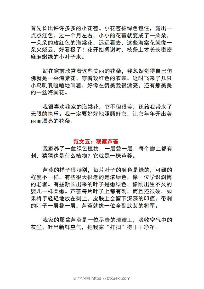 图片[3]-三年级语文下册1-8单元作文范文-BT学习网