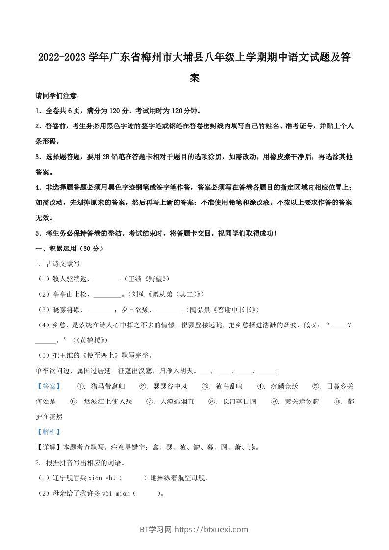 2022-2023学年广东省梅州市大埔县八年级上学期期中语文试题及答案(Word版)-BT学习网