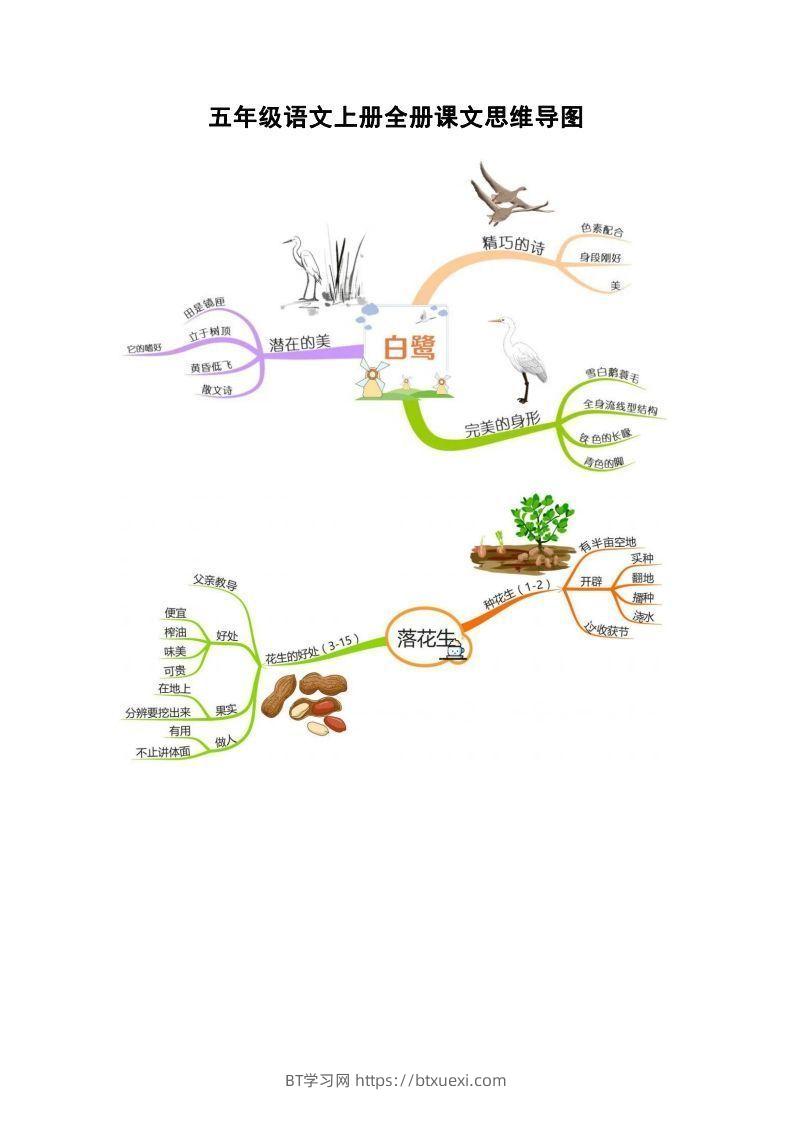 五上语文全册课文思维导图-BT学习网