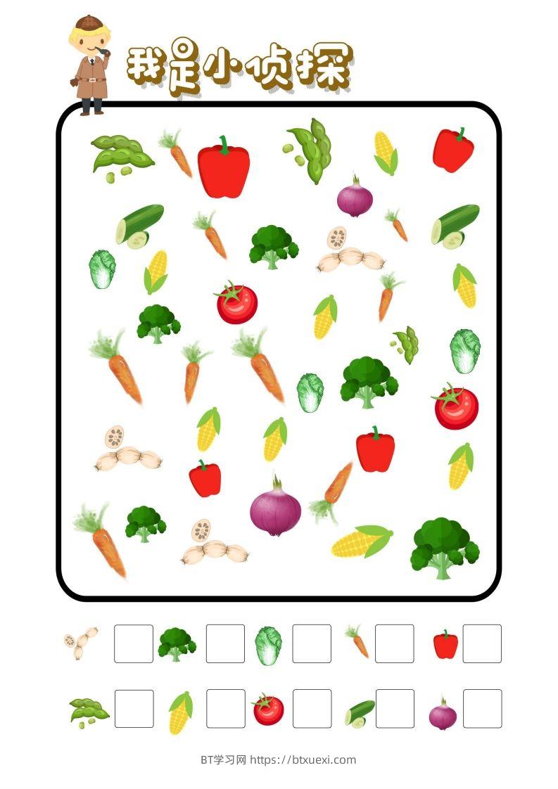 图片[2]-专注力训练-我是小侦探-BT学习网