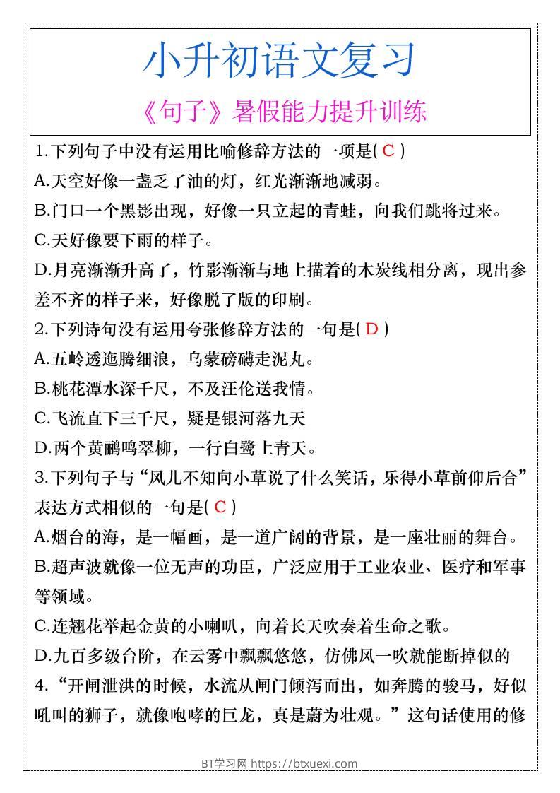 小升初语文《句子》暑假能力提升训练-小升初语文-BT学习网