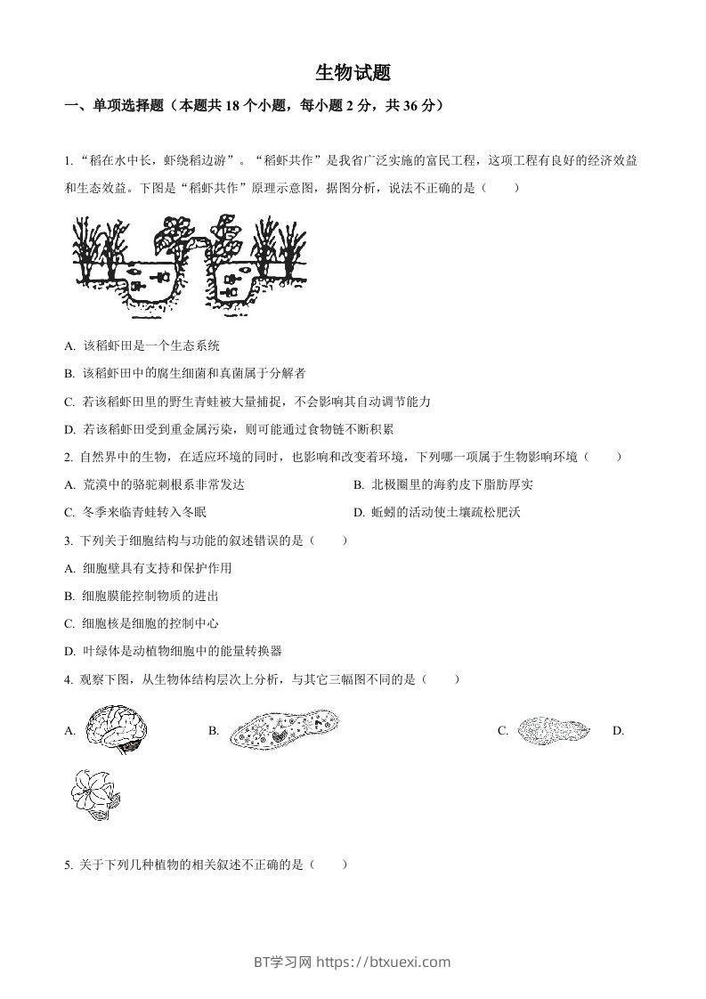 2023年湖北省十堰市生物中考真题（空白卷）-BT学习网