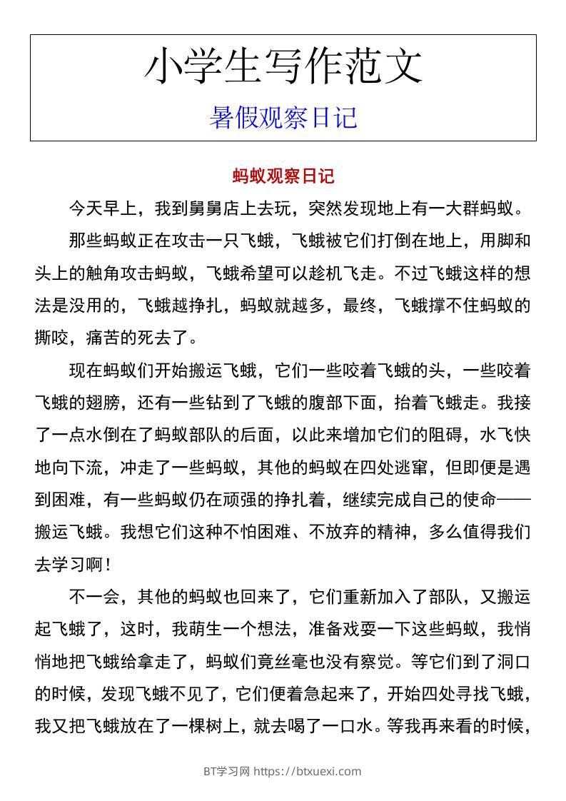 小学生写作范文暑假观察日记-小升初语文-BT学习网