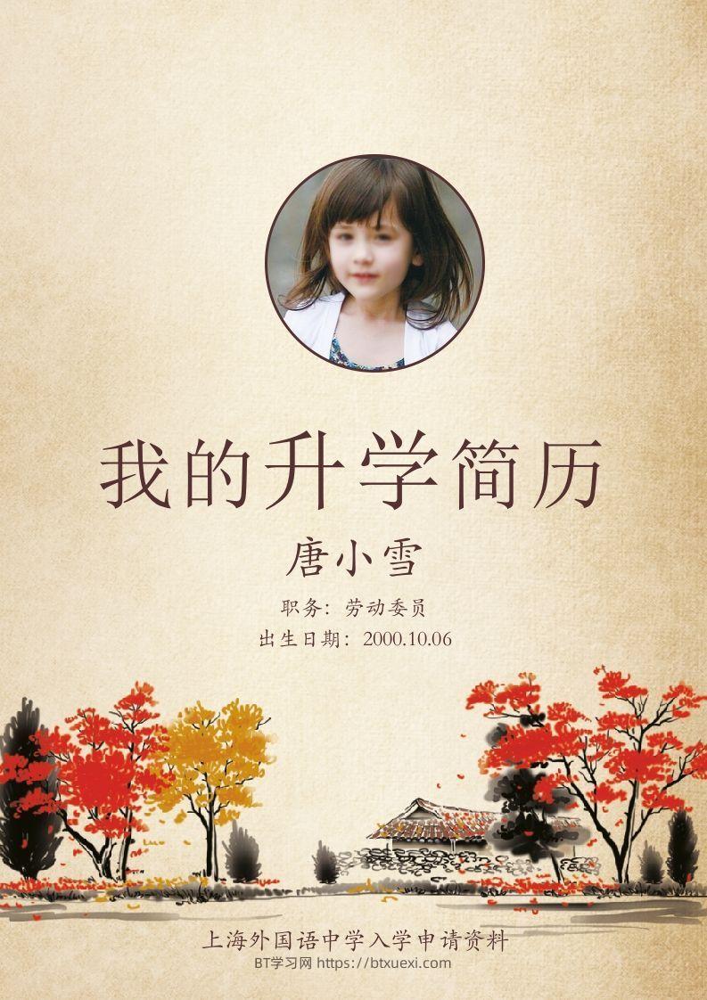 多页-小升初简历32-BT学习网