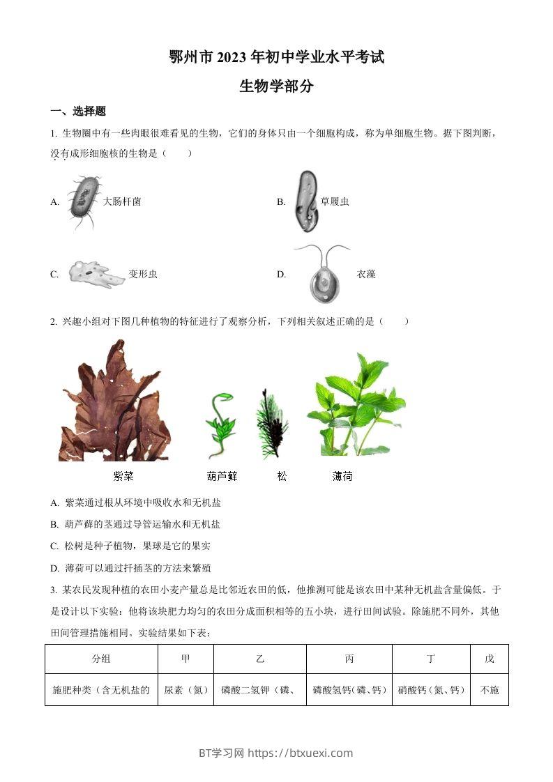 2023年湖北省鄂州市中考生物真题（空白卷）-BT学习网