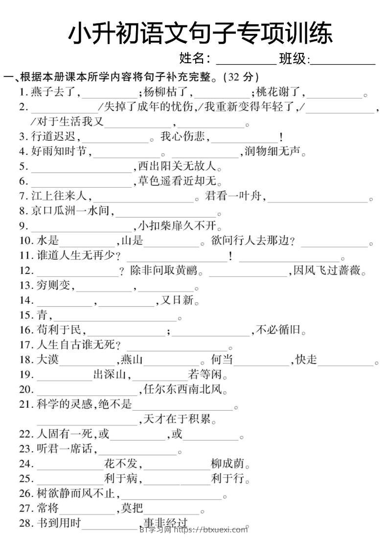 六下小升初语文句子专项训练-BT学习网
