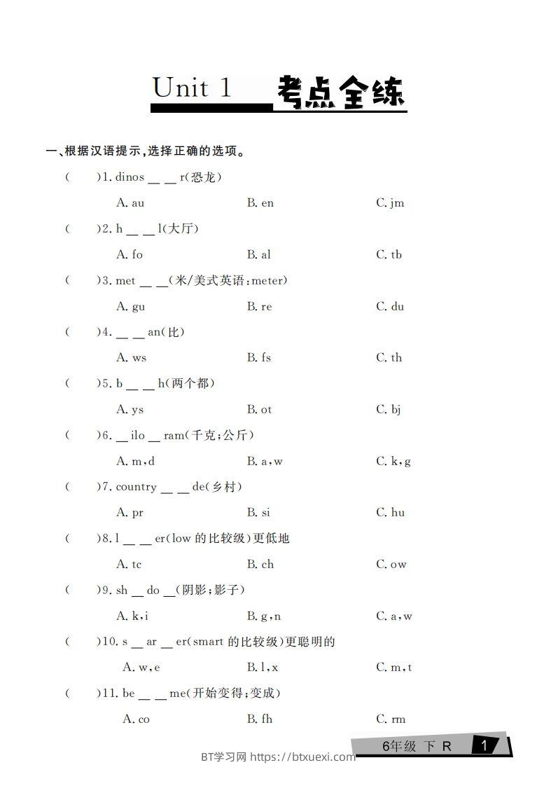 六下英语复习《考点全练》人教PEP版-BT学习网