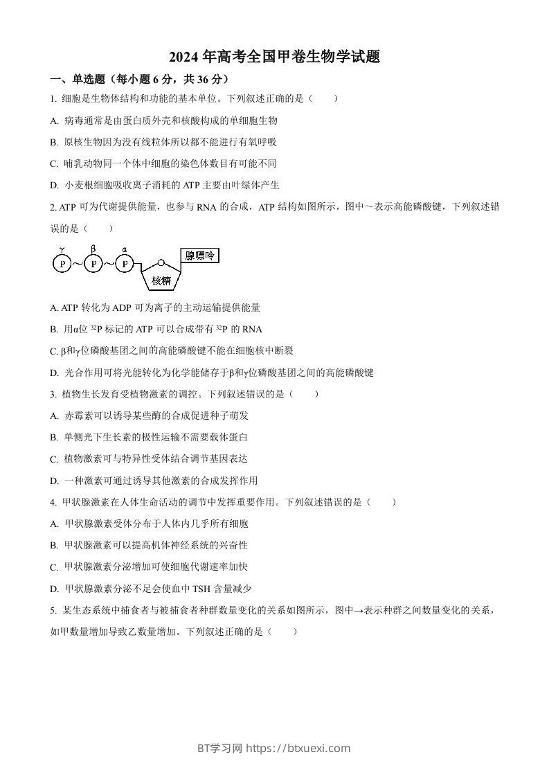 2024年高考生物试卷（全国甲卷）（空白卷）-BT学习网