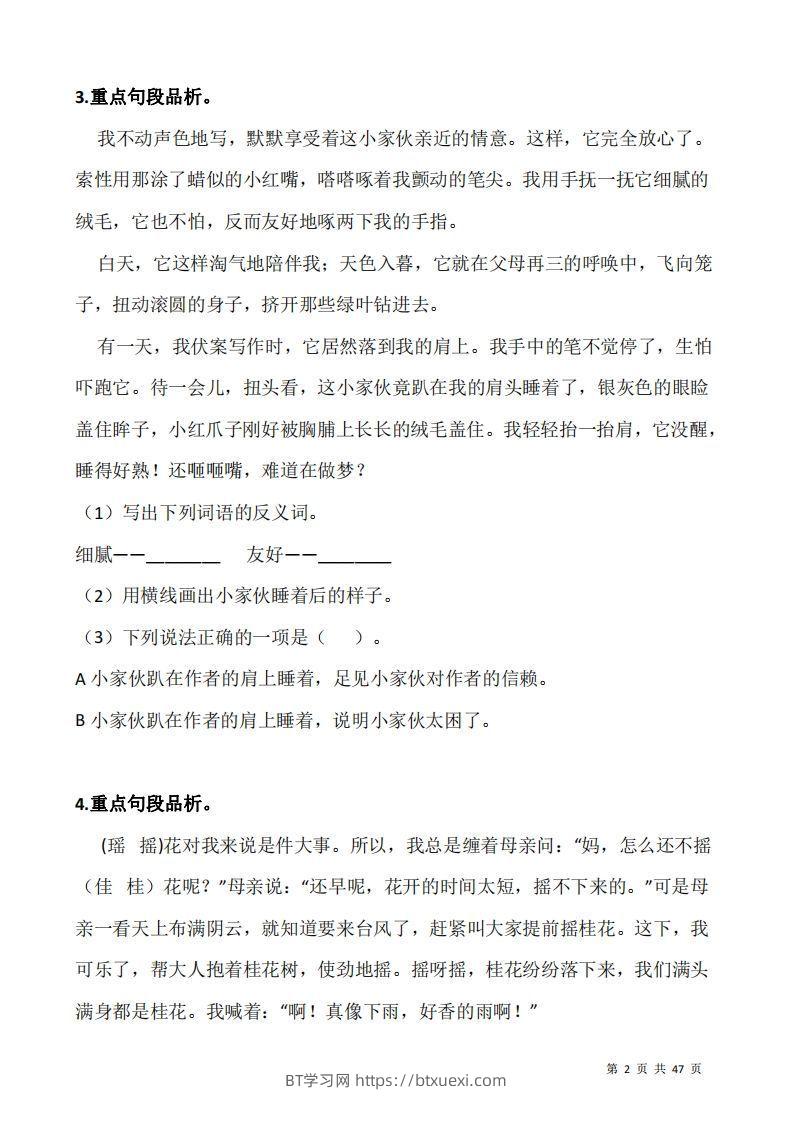 图片[2]-五上语文：阅读专项训练习题50道-BT学习网