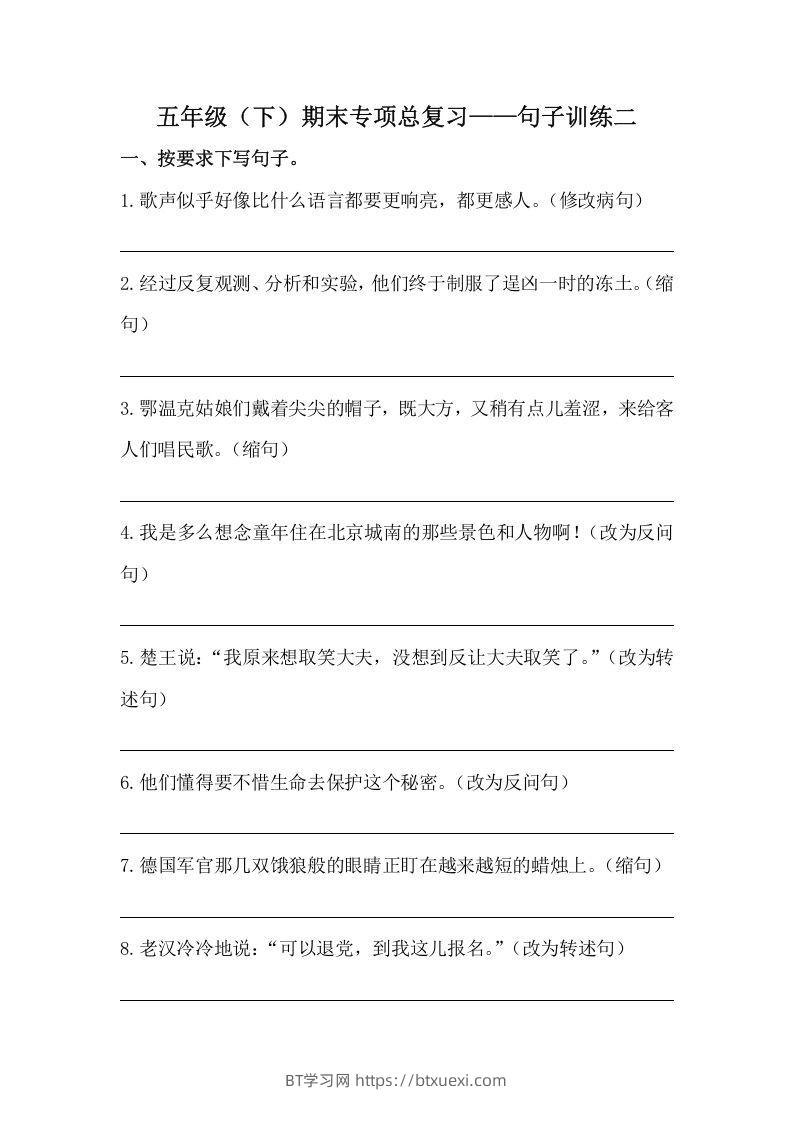 五年级语文下册期末句子训练专项训练（二）（含答案）（部编版）-BT学习网