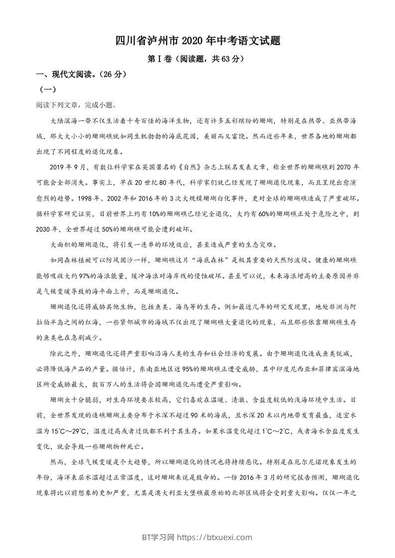 四川省泸州市2020年中考语文试题（含答案）-BT学习网