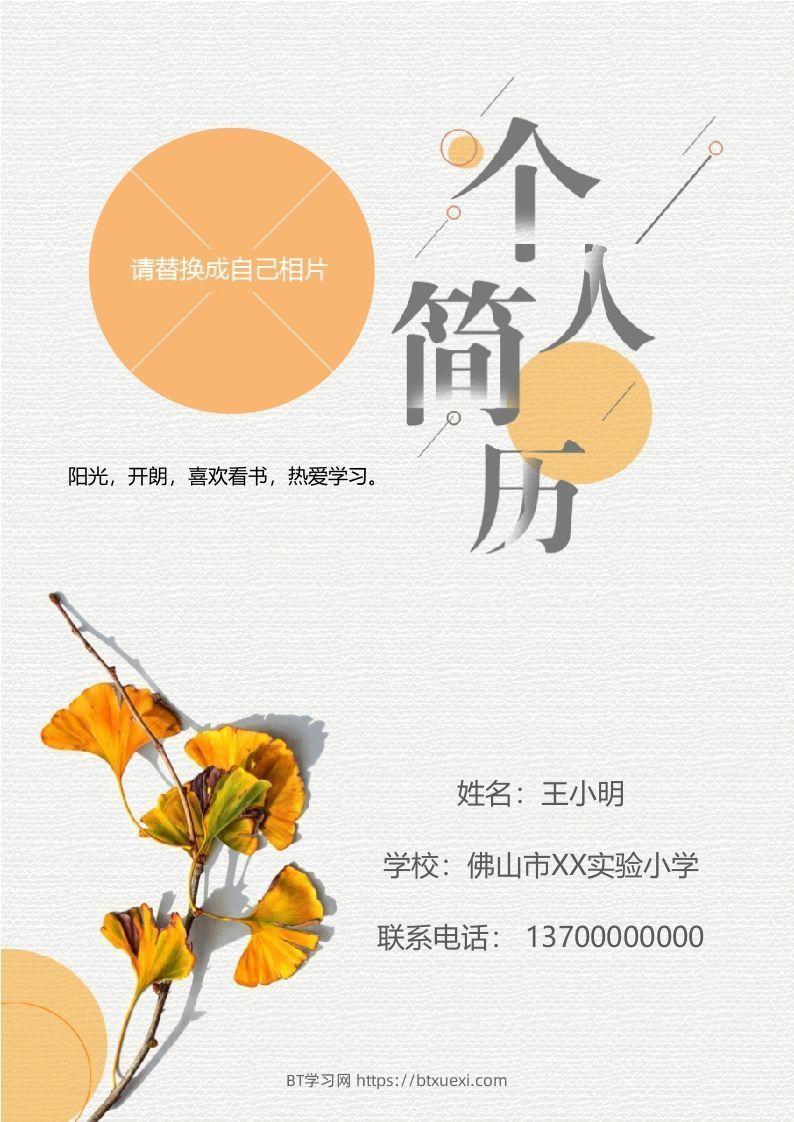 多页-小升初简历90-BT学习网