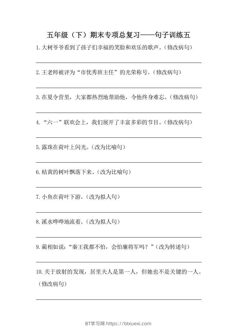 五年级语文下册期末句子训练专项训练（五）（含答案）（部编版）-BT学习网