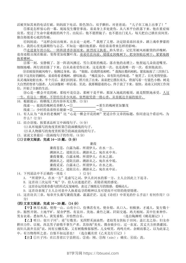 图片[3]-2023-2024学年广西河池市宜州区八年级下学期期中语文试题及答案(Word版)-BT学习网