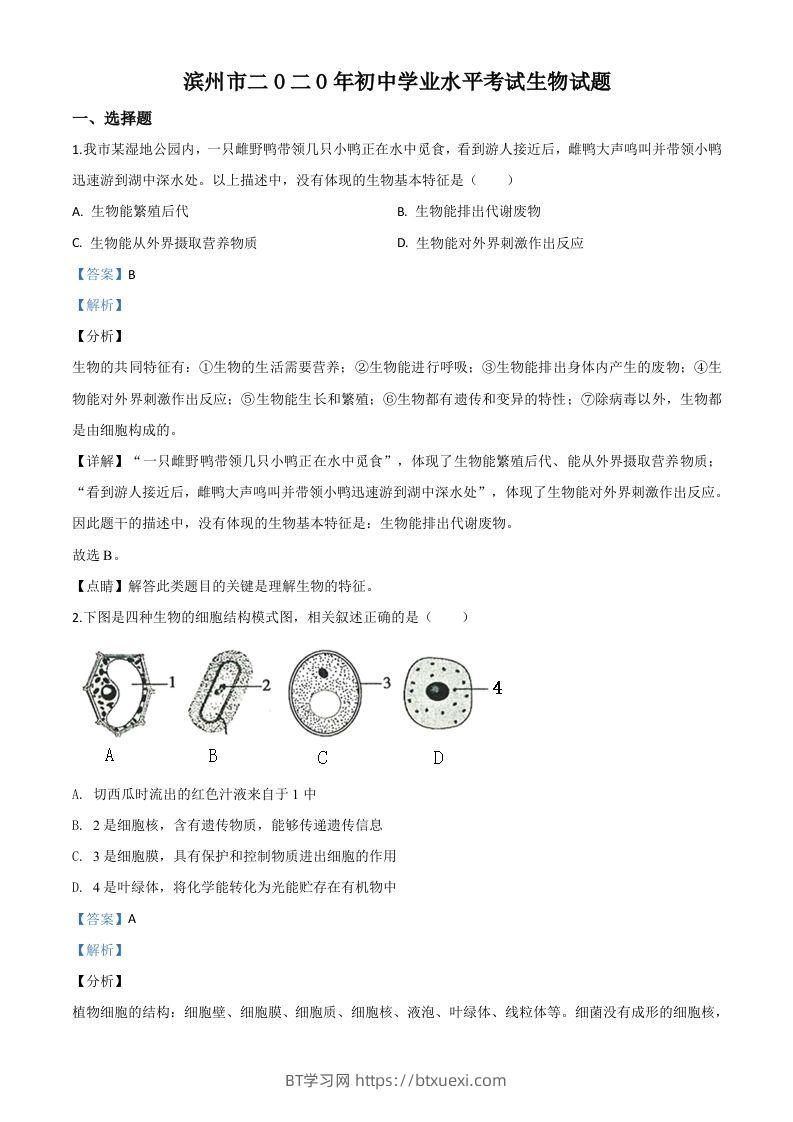 山东省滨州市2020年中考生物试题（含答案）-BT学习网