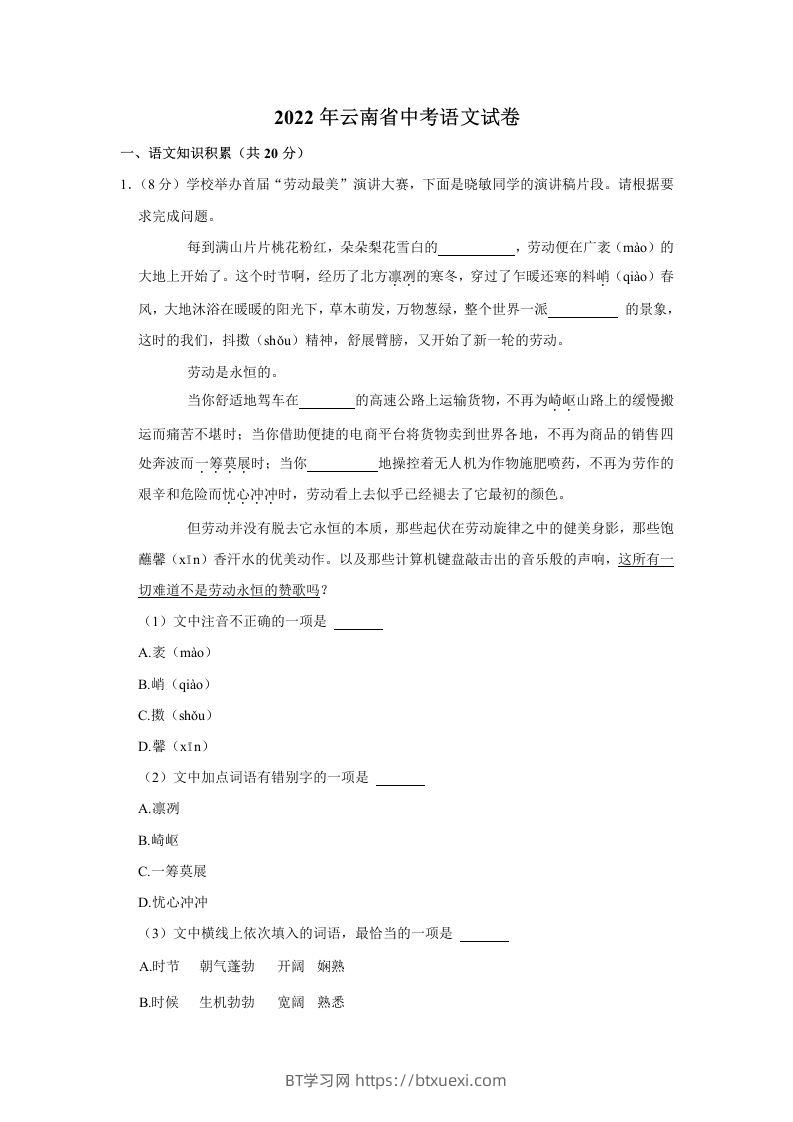 2022年云南省中考语文真题-BT学习网
