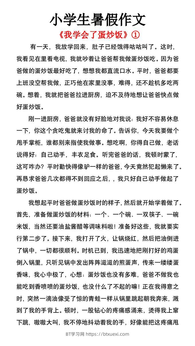 小学生暑假作文《我学会了蛋炒饭》-小升初语文-BT学习网