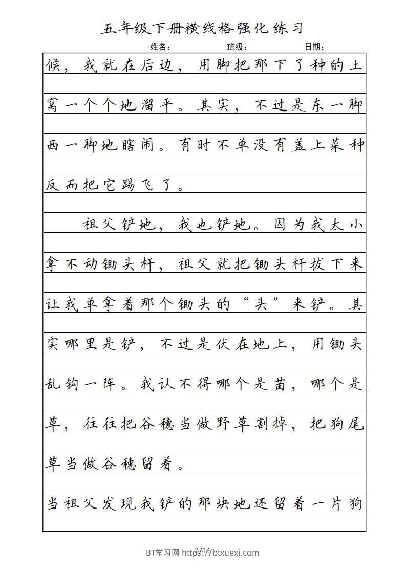 图片[2]-五年级语文下册横线格（部编版）-BT学习网