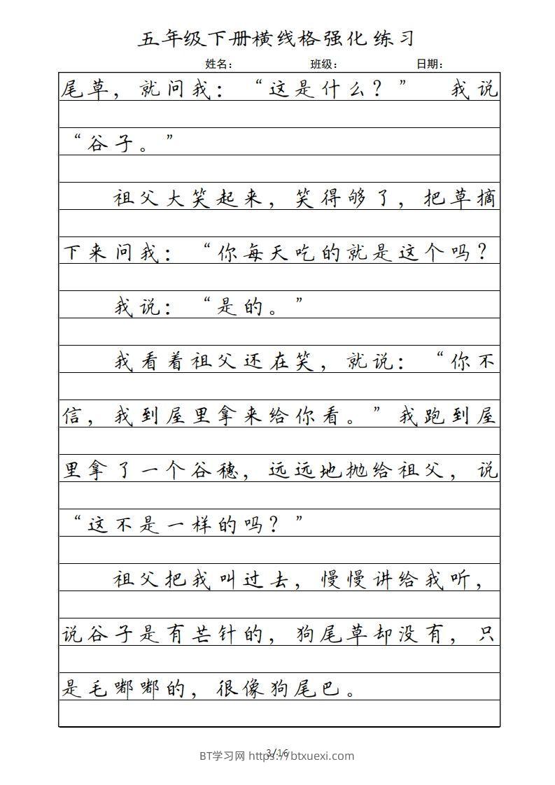 图片[3]-五年级语文下册横线格（部编版）-BT学习网