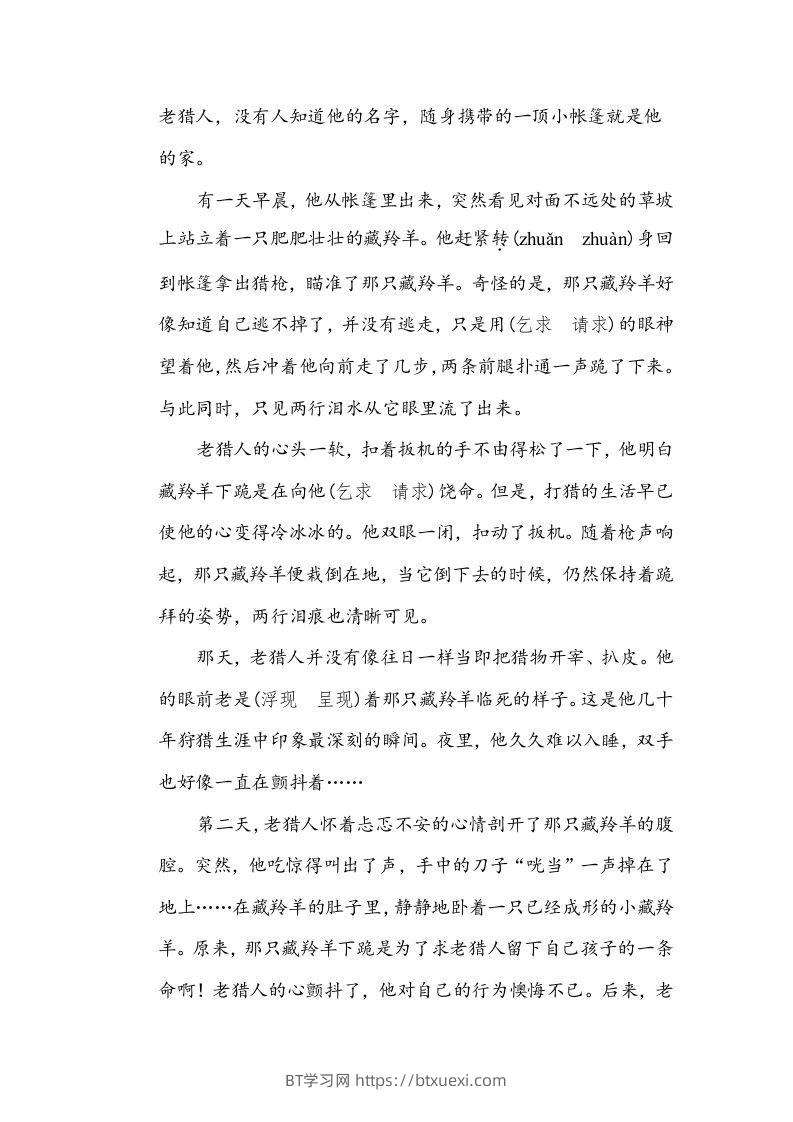 图片[3]-五年级语文下册近义词、反义词（部编版）-BT学习网