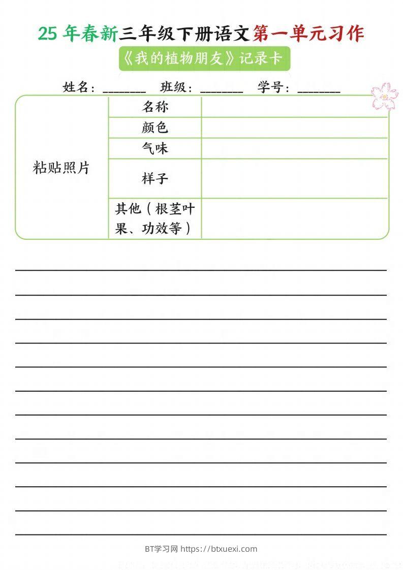 图片[2]-【习作】25年春新三下语文第一单元习作（观察单）16页-BT学习网