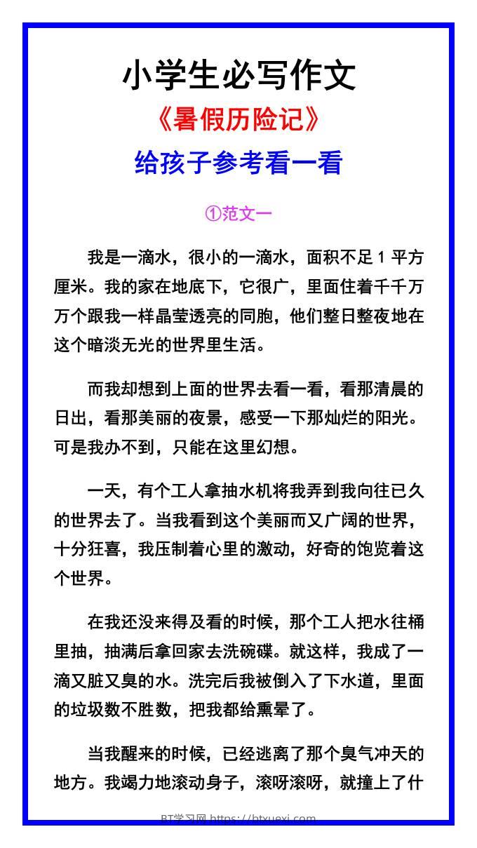 小学生必写作文《暑假历险记》范文素材-小升初语文-BT学习网