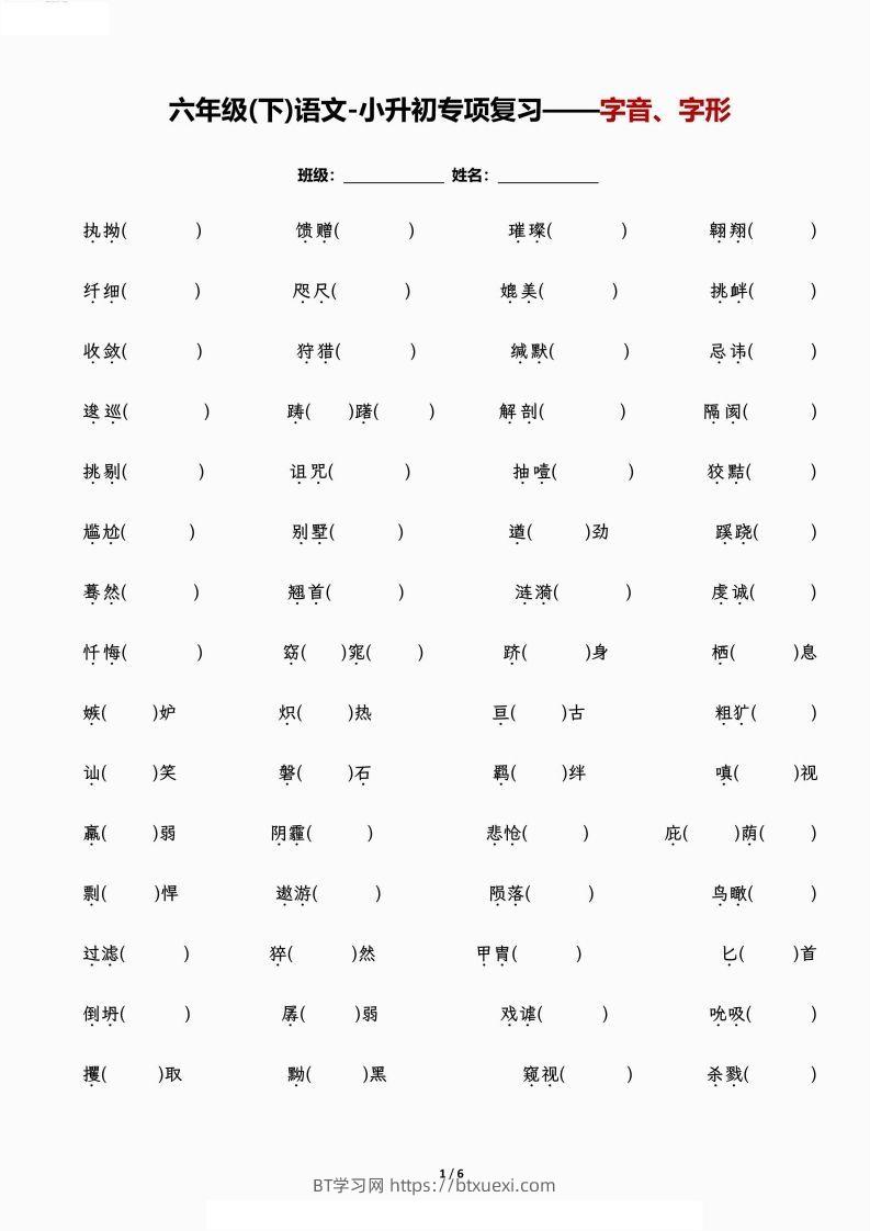 小升初专项复习—字音、字形-BT学习网