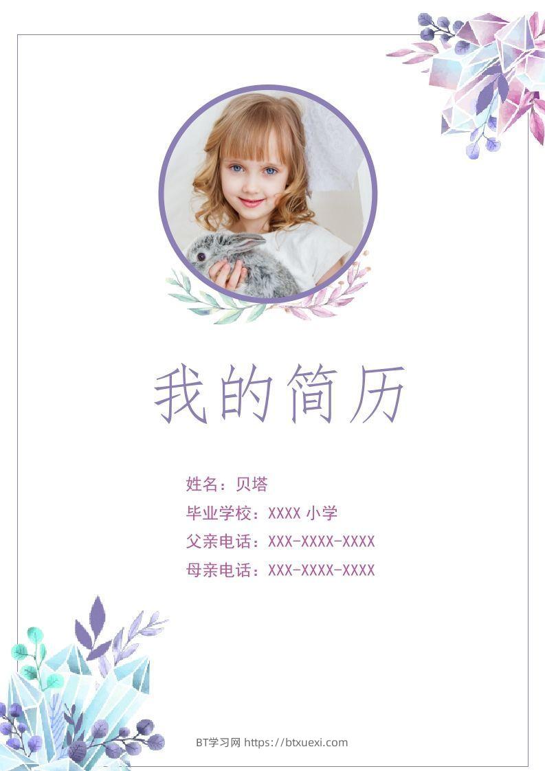 多页-小升初简历88-BT学习网