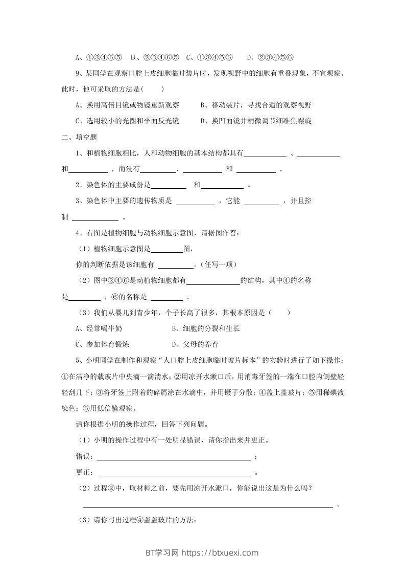 图片[2]-七年级上册生物第二单元第一章第三节试卷及答案(Word版)-BT学习网