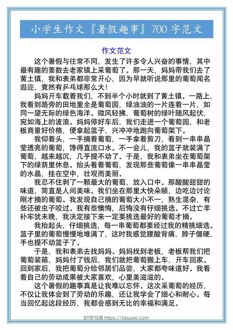 小学生作文『暑假趣事』700字范文-小升初语文-BT学习网