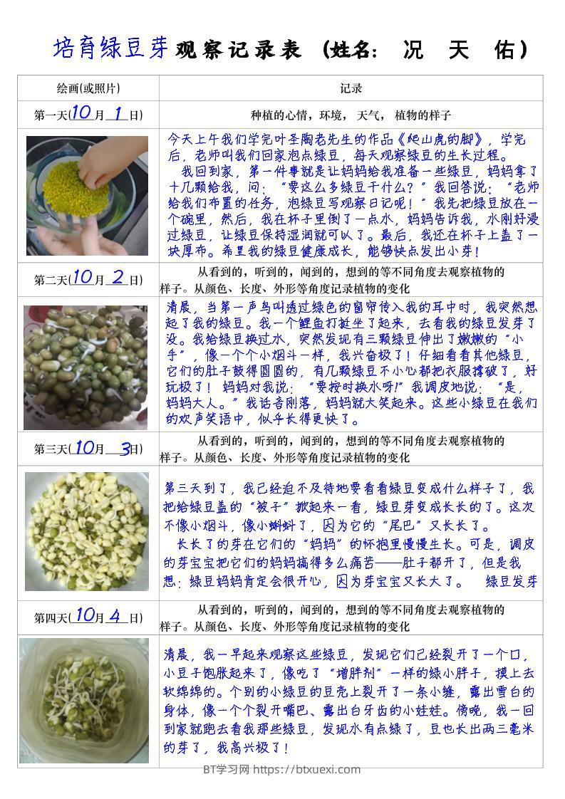 四上语文习作三：培育绿豆芽观察日记2《写观察日记》4页-BT学习网