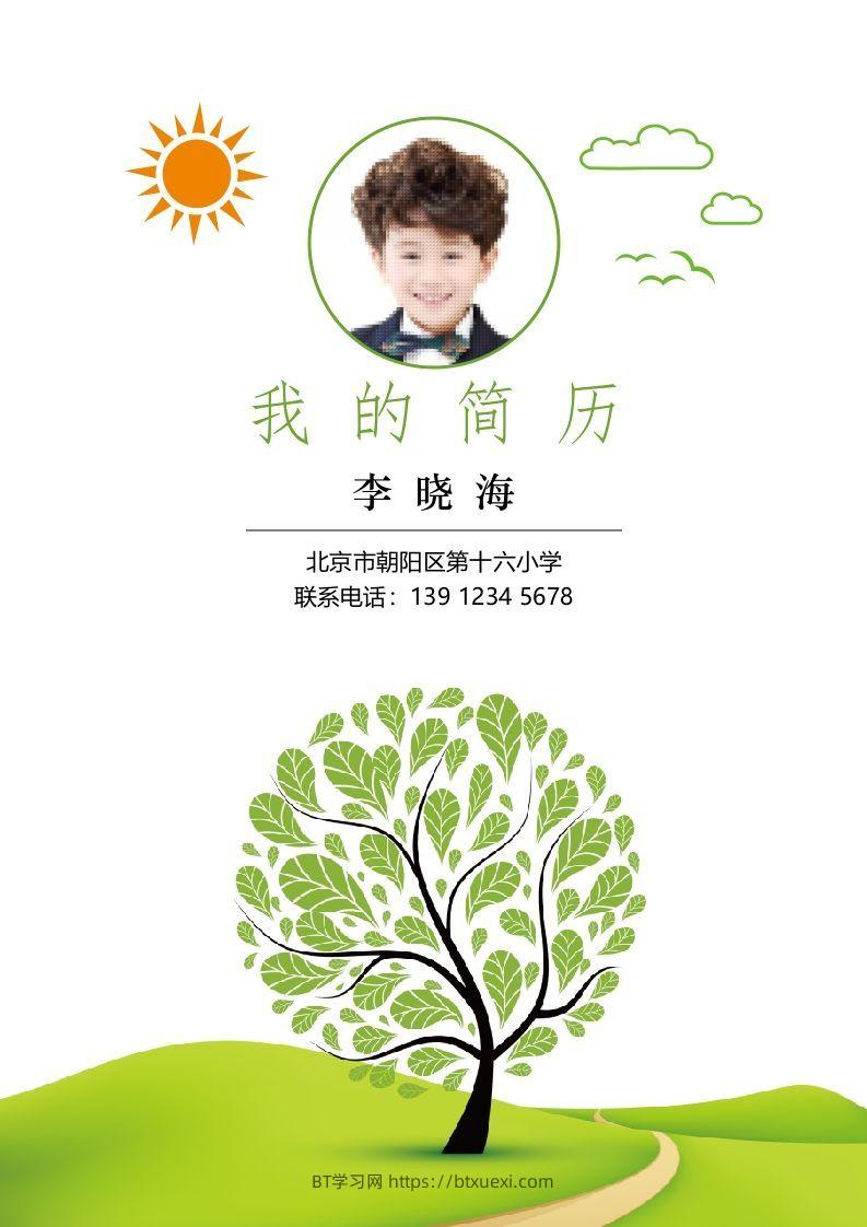 多页-小升初简历15-BT学习网