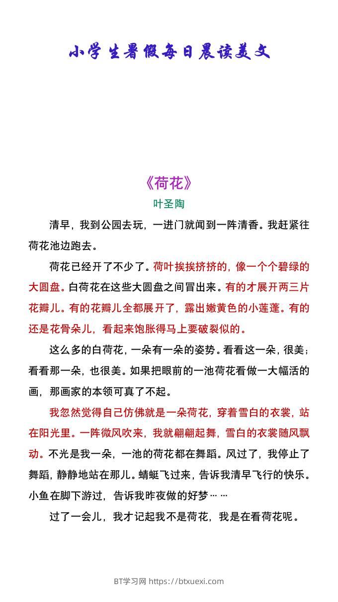 小学生暑假每日晨读美文：叶圣陶《荷花》-小升初语文-BT学习网