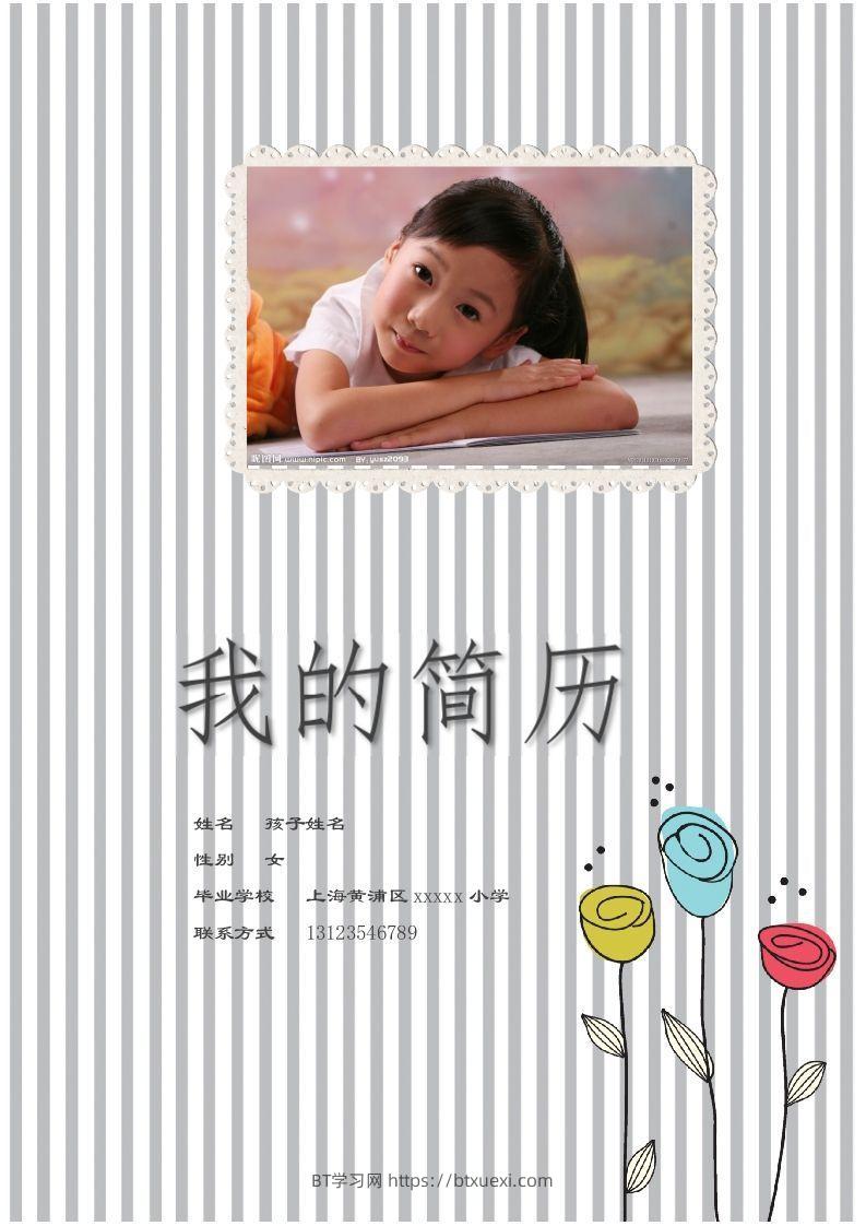 多页-小升初简历80-BT学习网