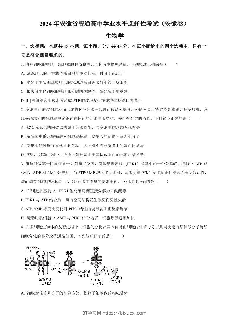 2024年高考生物试卷（安徽）（空白卷）-BT学习网