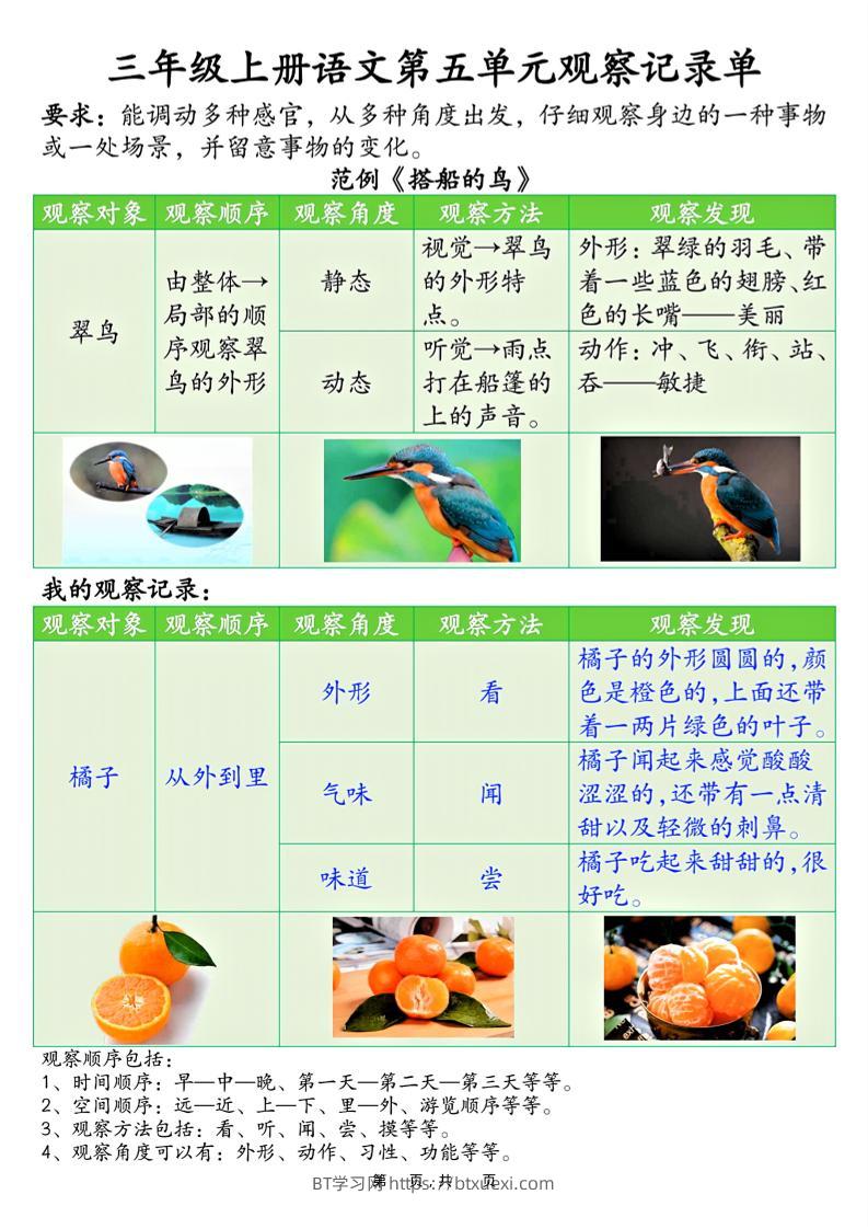 三上语文第五单元观察记录单（空白+答案14页）-BT学习网